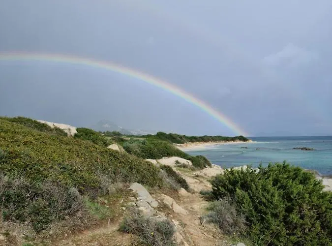 Mathias * 卡斯蒂亚达斯